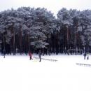 Kapuściska park leśny 01-2013