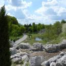 Myślęcinek Ogród Botaniczny - panoramio (4)